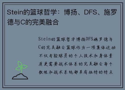 Stein的篮球哲学：博扬、DFS、施罗德与C的完美融合
