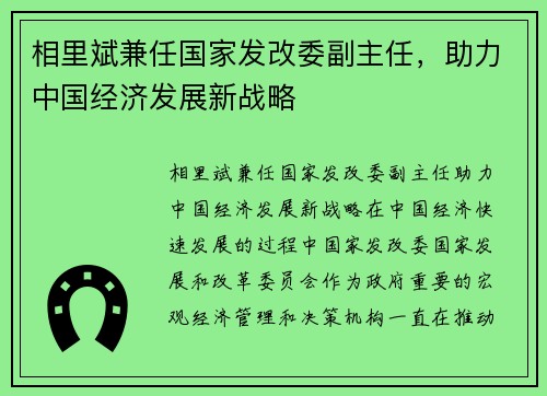 相里斌兼任国家发改委副主任，助力中国经济发展新战略