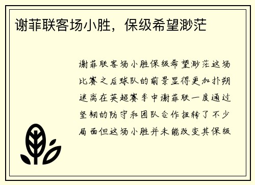 谢菲联客场小胜，保级希望渺茫