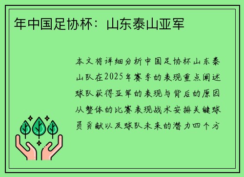 年中国足协杯：山东泰山亚军